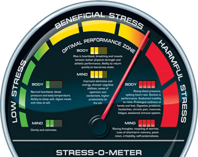 Work Related Stress Assessment Group - iTest.Center